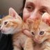 Partido Animal (@judithtorr52676) Twitter profile photo Partido Animal (@judithtorr52676) Twitter profile photo