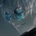 Hung Tran (@hungtran379911) Twitter profile photo Hung Tran (@hungtran379911) Twitter profile photo