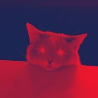 ester (@esterbeer_) 's Twitter Profile Photo ester (@esterbeer_) 's Twitter Profile Photo