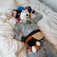 Drapii (@drapigney_gp) 's Twitter Profile Photo Drapii (@drapigney_gp) 's Twitter Profile Photo