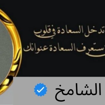 Mmt5555's profile picture. 