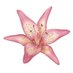 Girl to girls (@girlluv4_) Twitter profile photo Girl to girls (@girlluv4_) Twitter profile photo
