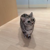 たかちゃん (@taka__0326) Twitter profile photo