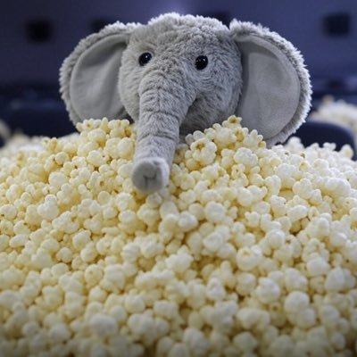 Zou_movie's profile picture. 趣味で映画&ドラマの情報を伝えてます🎥ドラマ&映画紹介は水・土・日曜日投稿予定(不定期)！スプラッター映画は苦手だけどゾンビ映画が1番好き🧟
