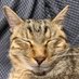 マグロン (@ysovhmhwdmnorfp) Twitter profile photo マグロン (@ysovhmhwdmnorfp) Twitter profile photo