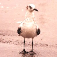 Charlie (@ckirby2022) 's Twitter Profile