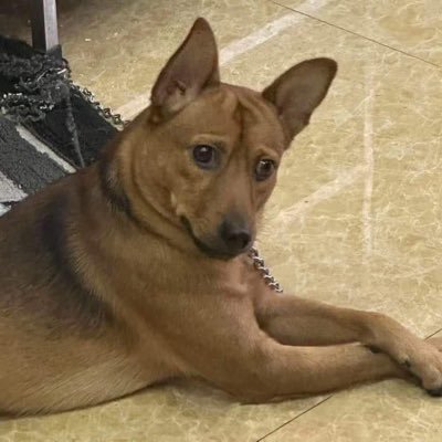 dicksisalife's profile picture. get the fuck out 🤬