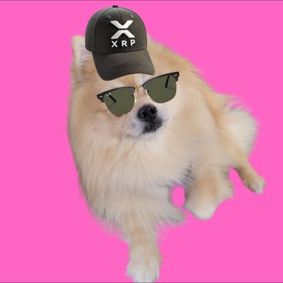 @XRPomeranian
