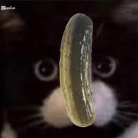Julien Loki (@sliceem1) 's Twitter Profile