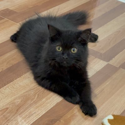 TATI8188's profile picture. 