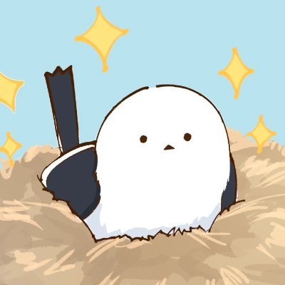 ねこすきーさんのプロフィール画像