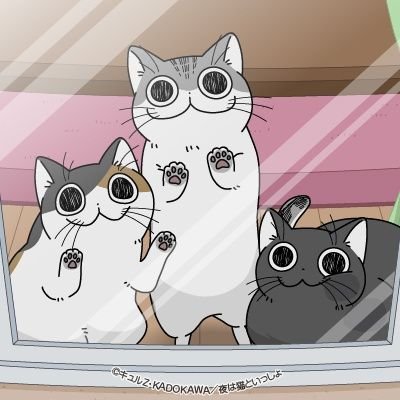 しずさんのプロフィール画像