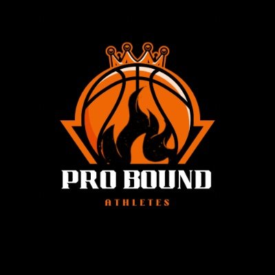 proboundhoops's profile picture. 