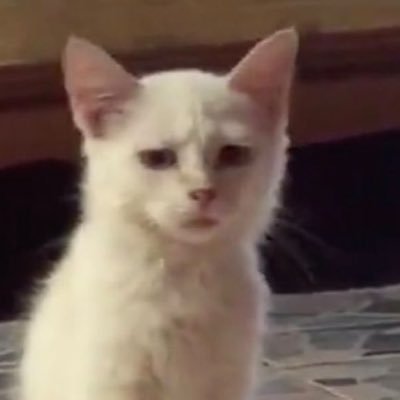 bxmさんのプロフィール画像