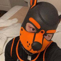 Pup Jasper 🐶 (@chastedstudent) Twitter profile photo