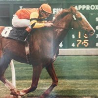 Charles Barkworth (@apeoverlord) 's Twitter Profile