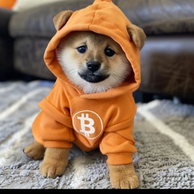 jkulm2's profile picture. 