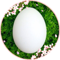 HAL (@hal_another) 's Twitter Profile