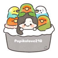 パピコラブ (@papikolove210) 's Twitter Profile