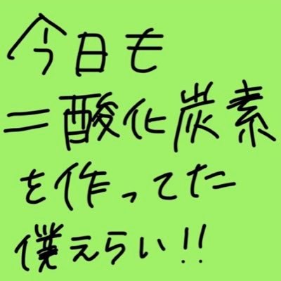 ぴーまんさんのプロフィール画像