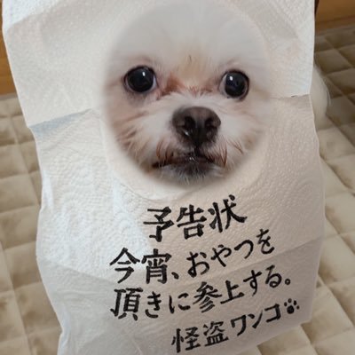 楽天大好きマンです🤭ジャンル問わずおすすめの商品を紹介します♡是非参考にしてください♡占いも好きです🔮毎日の運勢をupしてるので占いに興味ある方は是非こちらからどーぞ👇 👇 👇