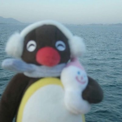 v 🐬🍧さんのプロフィール画像