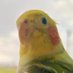 kazu_oke (@kazu_oke_) Twitter profile photo kazu_oke (@kazu_oke_) Twitter profile photo