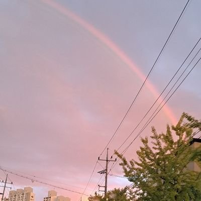 ihangho176429's profile picture. 