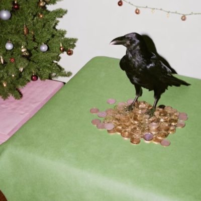 amiercreer's profile picture. 你既怕又何必想，你既想又何必怕@yannan74713我的幕后