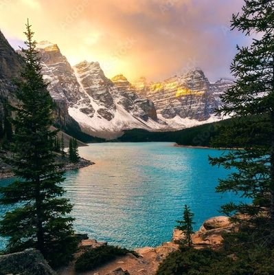 Jack2Rechard's profile picture. Try to do what's possible to perfection