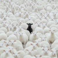 Gifted🙏🏾Hands🌊 (@_ripmama_) 's Twitter Profile Photo