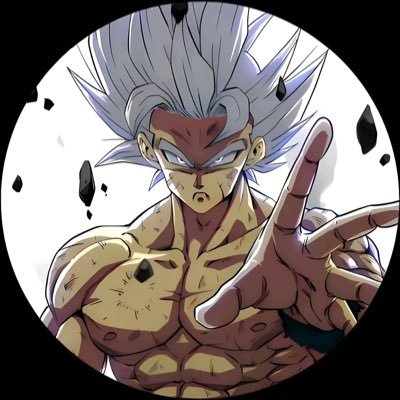 riccardinhofn23's profile picture. 