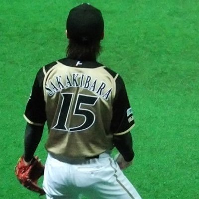 宜しくお願いします!野球、旅行、モルカーはポテト推し(*^^*) #北海道日本ハムファイターズ(2009-2013) #オリックスバファローズ(2014-2015) 2010年パ・リーグ新人王👑