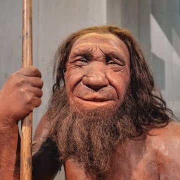 Son of Africa
#isdaarvoutbydiehuis
#Chestpaingiver
#Alsoapinkpeg
Proud Neanderthal
