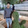 Abhishek147Abhi's profile picture. 