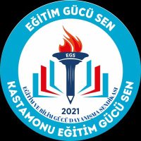 Tosya Eğitim Gücü Sen (@tosyaegs) 's Twitter Profile