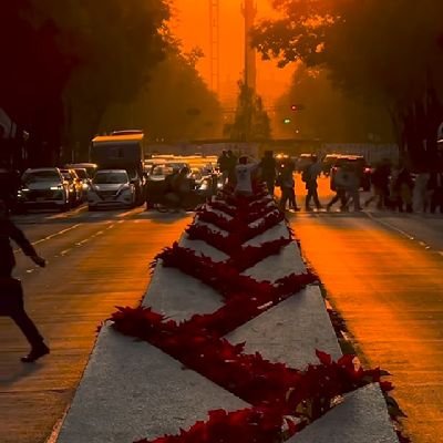 RaulRom80110701's profile picture. 