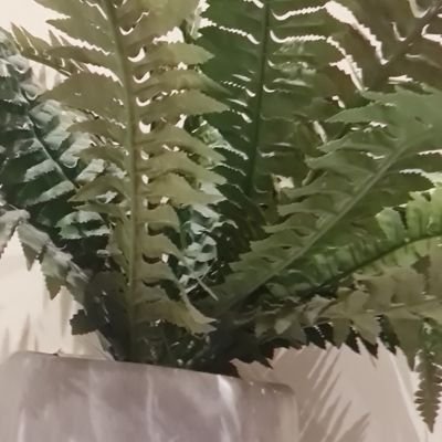 Omooba72098580's profile picture. 