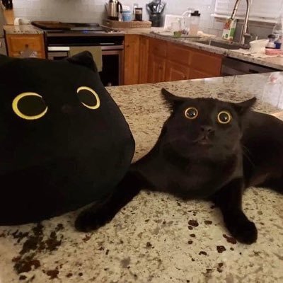 Astro21167's profile picture. 12