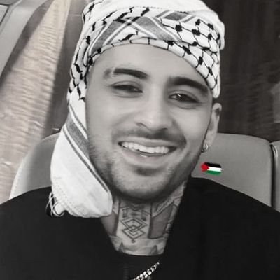 pathetically aesthetic 🍊 • free 🇵🇸 • now + forever • she/her • fan account