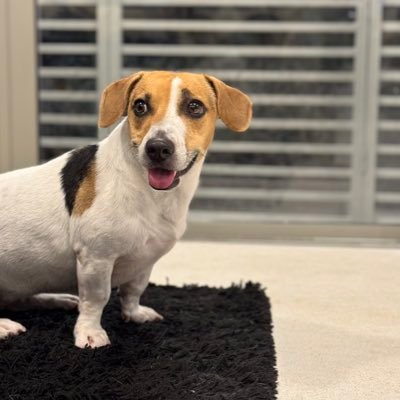 nnile27's profile picture. บอนบี๋เอหมี 🐶🐻‍❄️ #beonnnie #emiamily