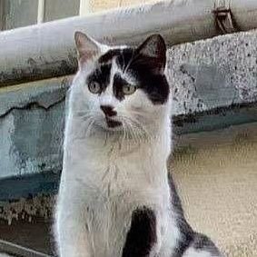 mmm_hiyou's profile picture. 喜欢做什么