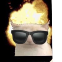 ジェットはま (@h_m_g_g_v) 's Twitter Profile