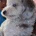 David (@david1586054741) Twitter profile photo David (@david1586054741) Twitter profile photo