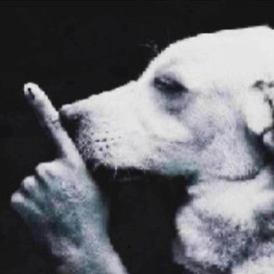 SwizoSol's profile picture. 