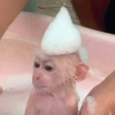 Sego63792883's profile picture. 1