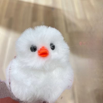 sn_zk_tk0709's profile picture. 関西Gを経てのお母さま世代篠塚担|timelesz95%Aぇ! group5%で応援|言語化苦手|TLに不穏な空気を感じたら美味しい食べ物の話をして気付かないふりをします|