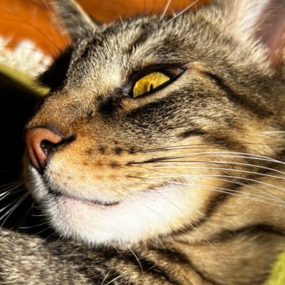 dykluxen1's profile picture. I am a YouTuber