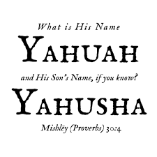 Travis Hronis |
YAHUSHA HAMASHIACH IS KING |
A Dev for The Resistance Token $RES
@The_Res1776
