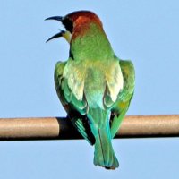 JA SAPS? M’han dit … (@jasapsquehandit) 's Twitter Profile